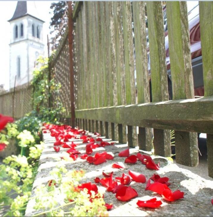 Ringmauer Hotel Murten Bagian luar foto